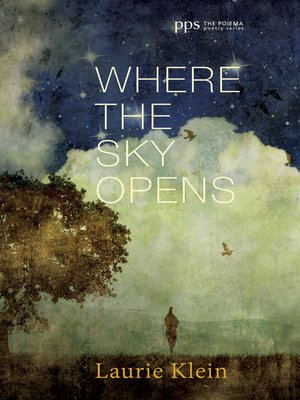 cover image of Where the Sky Opens
